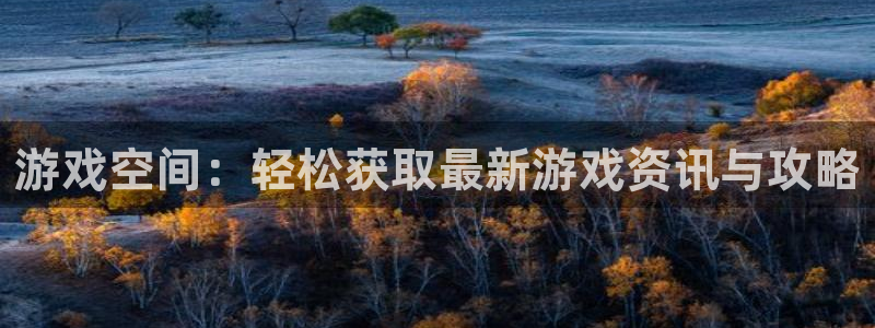 辉达娱乐平台注册资金多少：游戏空间：轻松获取最新游戏资讯与攻